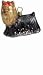 yorkshire terrier - Yorkshire Terrier