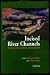 Incised River Channels: Processes, Forms, Engineering, and Management