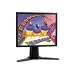 Viewsonic 17" LCD Monitor VP171B