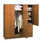 Wardrobe With 3 Doors and 3 Drawers In Oak Finish By Ameriwood Furniture