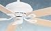 Airflow Fan Co 130 La Paz Airflow Gallery Edition Ceiling Fan