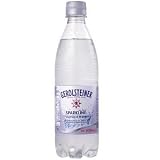 サッポロ ゲロルシュタイナー 500ml×24本 [正規輸入品]
