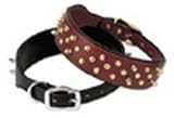 Spikes Black Leather Dog Collar 1 In X 19 In