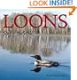 Loons: Song of the Wild (Wildlife)