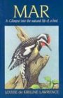 Mar: A Glimpse into the Natural Life of a Bird