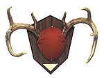 SAN ANGELO BIG BUCK HORN MOUNTING KITColor: Green