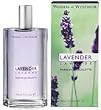 Lavender by Woods of Windsor