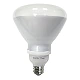 R-40 23 Watt Reflector Fluorescent Daylight