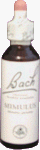 Impatiens - 20 ml - Bach Flower Remedies