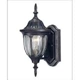Savoy House Wall Mount Lantern