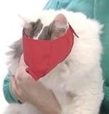 Quick Muzzle For Cats Blue Large