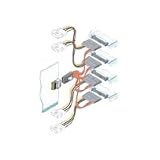 Buy 1M Int Mini-sas X4 SFF-8087 To (4) Int Sas X1 SFF-8482 Fanout Cable by Adaptec