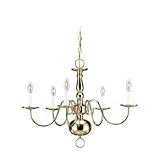 Sea Gull Lighting 3410-02 Traditional Five-Light Chandelier, Brass Finish