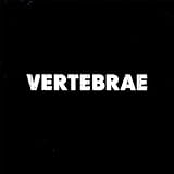 Vertebrae