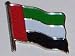 Country Flag Enamel Pin Badge - UAE, United Arab Emirates