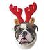 HOLIDAY REINDEER ANTLERS LARGE 10W X 12L