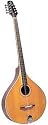 Trinity College TM-375 Trinity College Long-Scale Bouzouki with Case