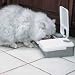 Petsafe PF2-19 2 Meal Feeder
