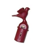 Knowing God: Walking through the Book of Books