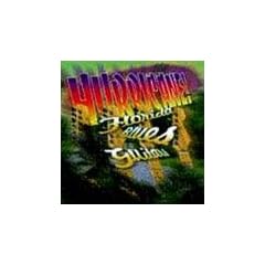 Hurricane: Florida Blues Guitars