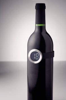 Clip on wine bottle thermometer - stainless steel & plastic