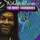 Too Many Boundaries