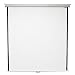 Pegasus Manual Wall/Ceiling Screen 70