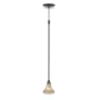Royce Lighting RP94500-27 Focus Pendant Track Lighting Kit Peruvian Bronze with Sepia Tinted Globe