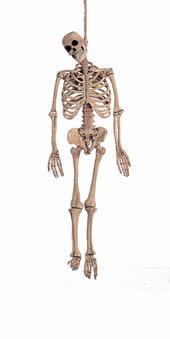 5ft Latex Skeleton Halloween Prop