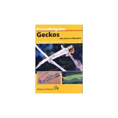 Geckos. Alle Arten im �berblick