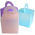 Frosted tote box (10)