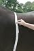 Sporting Goods : Horse & Pony Weight Tape