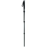 Gitzo GM5541 Series 5 6X Carbon Fiber 4-Section Monopod with G-Lock - Replaces GM5540 (Black)