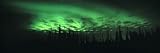 View of the Northern Lights, Aurora Borealis, Fairbanks, Alaska, USA Photographic Print by Panoramic Images, 24