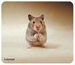 Tucano Fluffy Hamster Mouse Mat