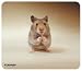 Tucano Fluffy Hamster Mouse Mat