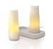 Candela Rechargeable Lamps (2 + Charger): * Perfect Gift Idea for Corporate, Friends, Family, Holidays, Christmas, Birthday, etc*!