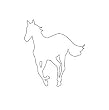 White Pony (Enhanced Edition)
