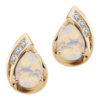 Opal and Diamond Earrings in 10kt. Gold by Fred Meyer Jewelers