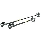 DAKINE Outtabounds Poles One Color, 2 pack
