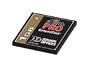 Delkin Devices 1GB PRO COMPACTFLASH CARD ( DDCFPRO1-1GB )