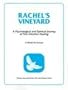 Rachel's Vineyard: A Psychological and Spiritual Journey of Post Abortion Healing: A Model for Groups
