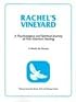Rachel's Vineyard: A Psychological and Spiritual Journey of Post-Abortion Healing : A Model for Groups