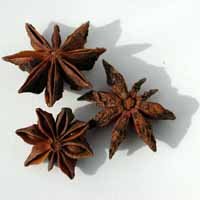 Star Anise - Whole by Whole Spice