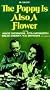 The Poppy Is Also A Flower [VHS]