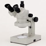 �J�[�g�� �Y�[�����̌����� DSZT-44T 10�{�`44�{