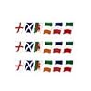Rugby Six Nations 18 Feet Flag Bunting