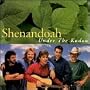 Under the Kudzu