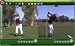 Sporting Goods : V1 Golf Analysis Training Software