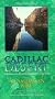 Cadillac Desert: A American Nile (Water and the Transformation of Nature) [VHS]